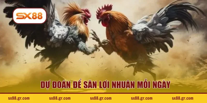 Dự đoán để săn lợi nhuận mỗi ngày