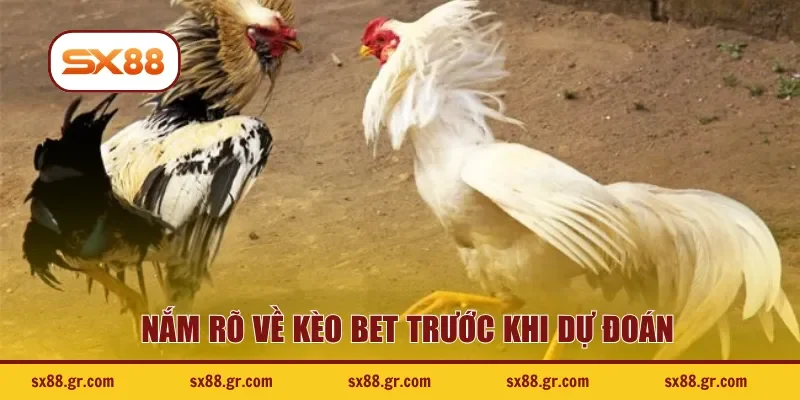 Nắm rõ về kèo bet trước khi dự đoán