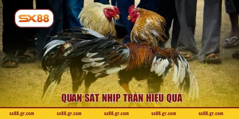 Quan sát nhịp trận hiệu quả