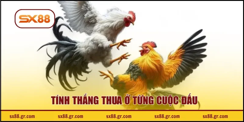 Tính thắng thua ở từng cuộc đấu