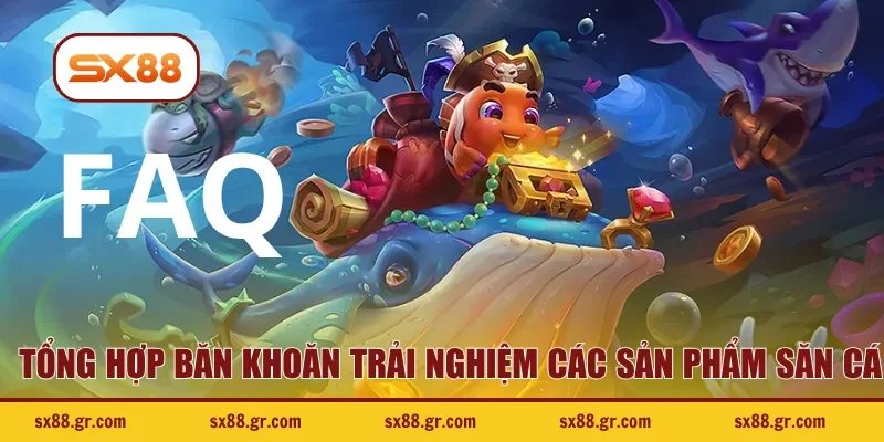 Tổng hợp băn khoăn trải nghiệm các sản phẩm săn cá